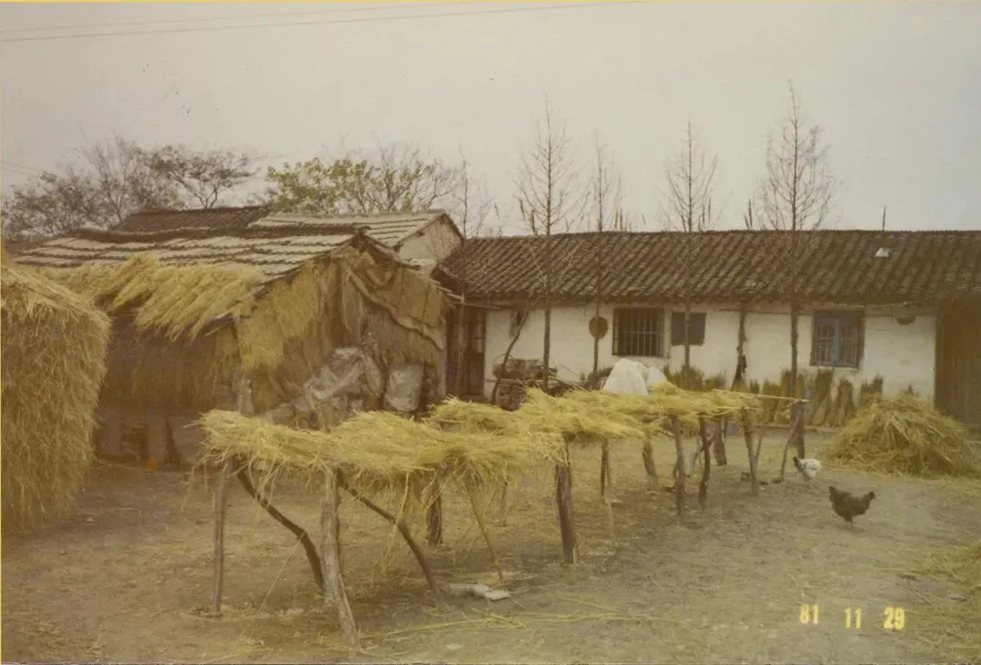 ▲赵家在八十年代曾经返回故乡，这是赵小兰拍摄的父亲成长的小村庄的样子。