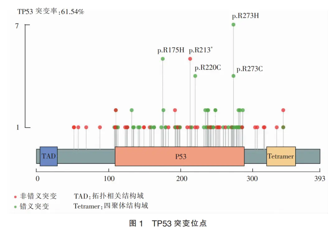 图源:参考资料5