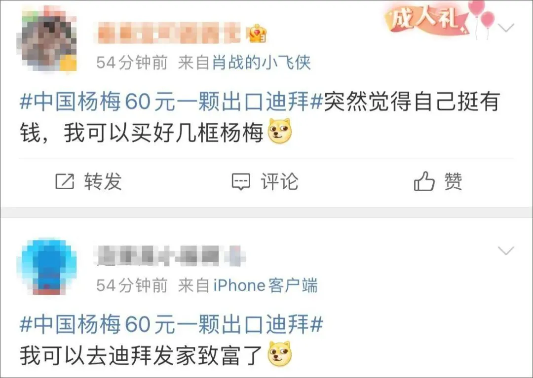 中国杨梅60元一颗出口迪拜?很多网友开始“炫富”,当地果农回应