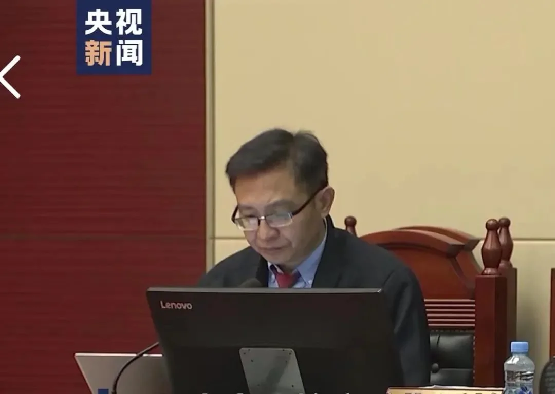 2022年8月劳荣枝案二审,辩护人吴丹红在法庭上。 央视新闻截图