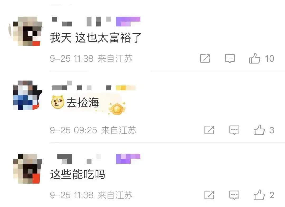 广东多地台风后现大量生蚝！专家紧急提醒_https://www.izongheng.net_快讯_第4张