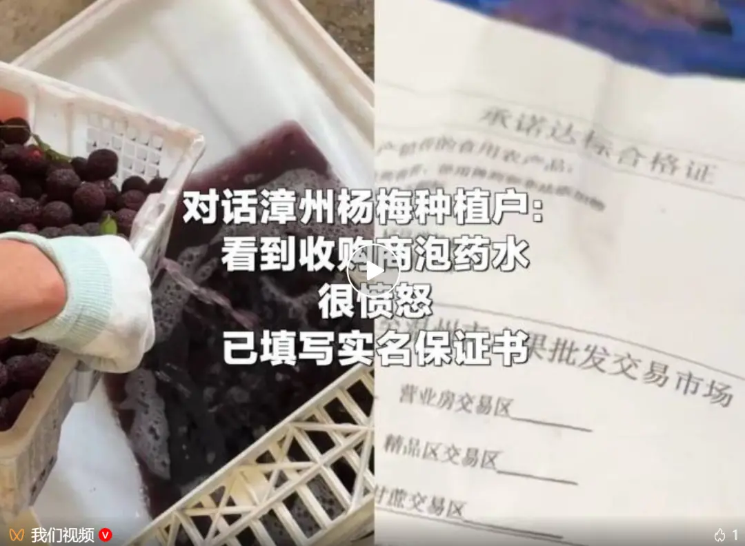 “泡药杨梅”被曝光后,当地协会会长哽咽恳求:给果农一个机会_快讯_第3张_纵横网 “泡药杨梅”被曝光后,当地协会会长哽咽恳求:给果农一个机会_https://www.izongheng.net_快讯_第3张