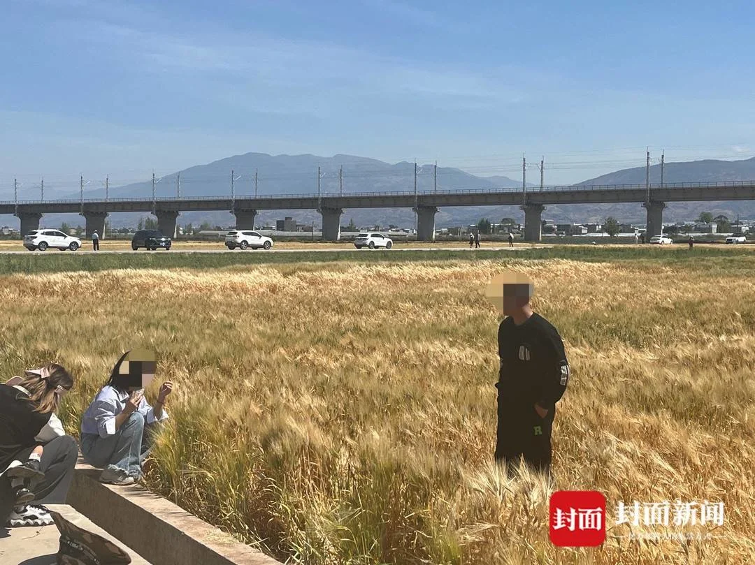 “去有风的地方”也别忘“脚下留情”(有你的地方就有风景800字作文初中)