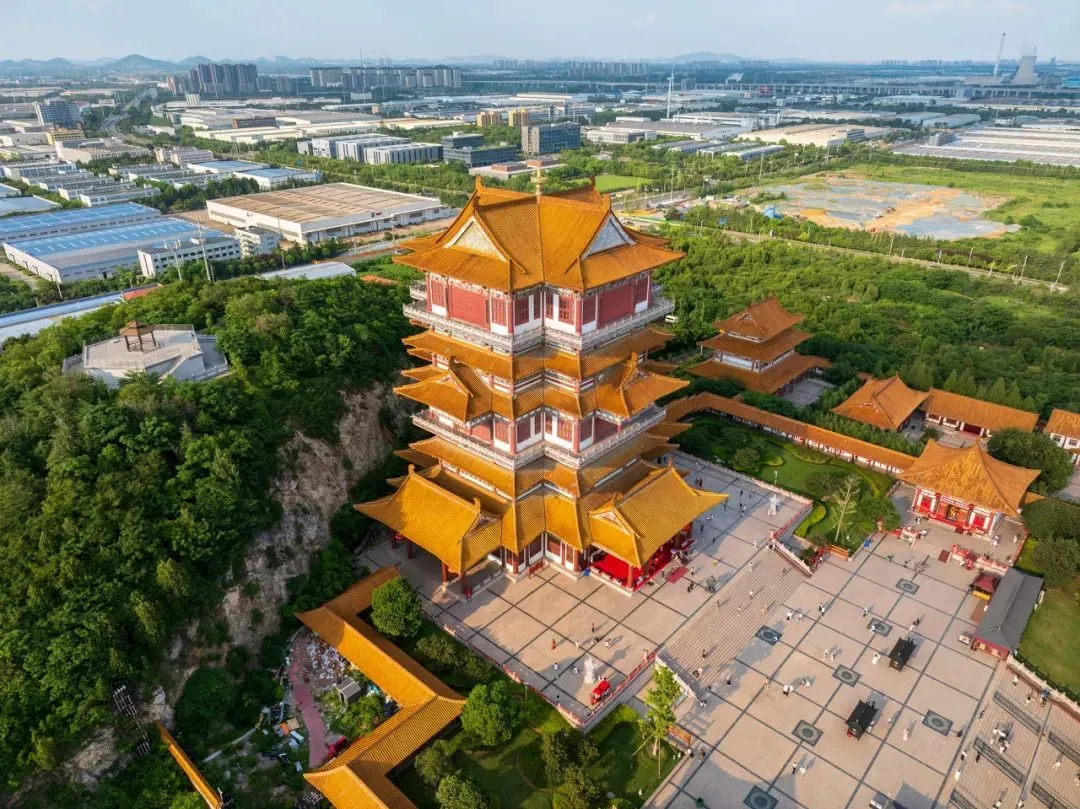 图片