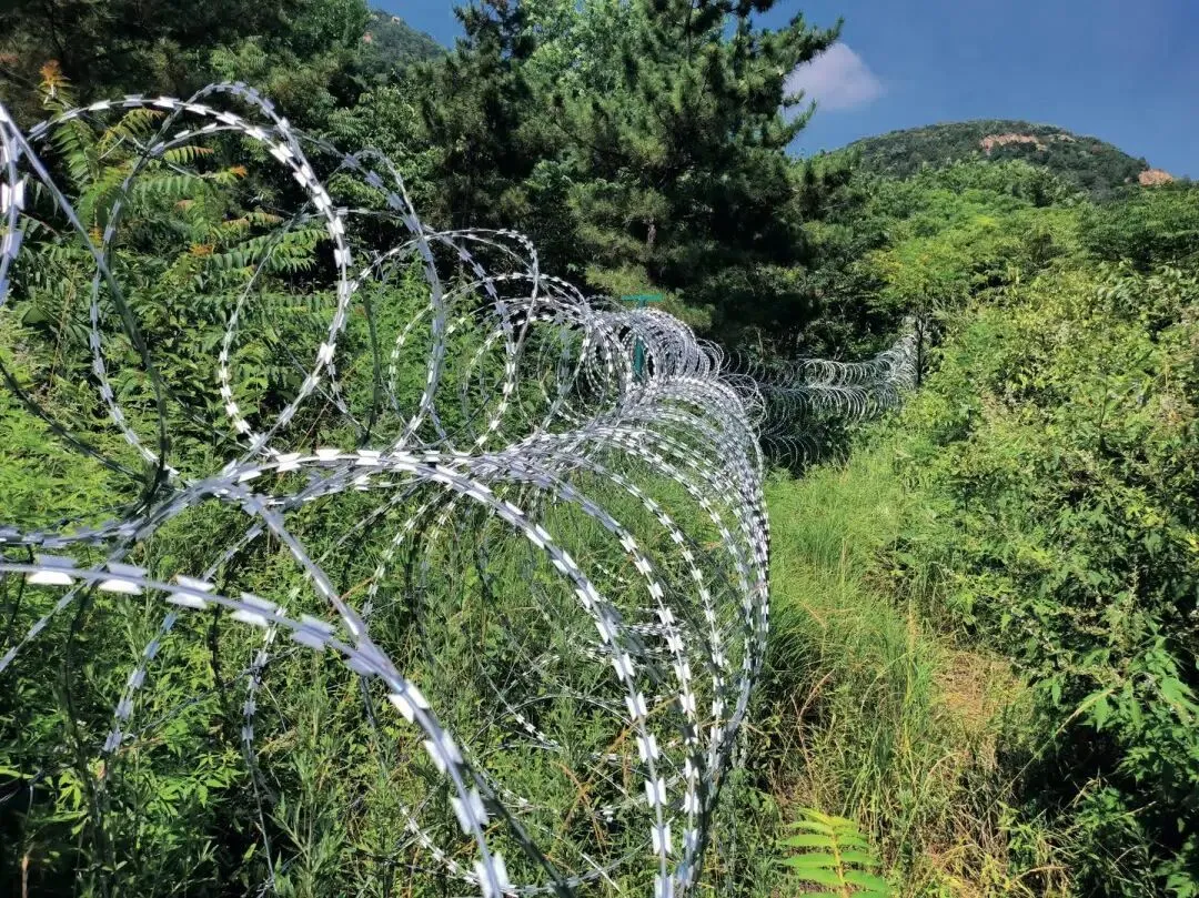 7月3日，泰山景区一处非开放区域架设的隔离网。本文图/IC