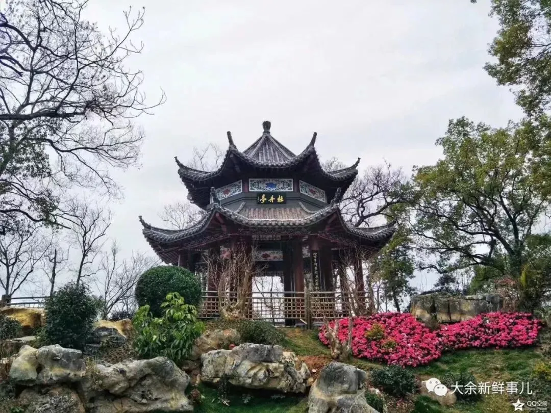 大余是哪个省的？已传疯，大余人都顶起！（大余县是哪个省的）