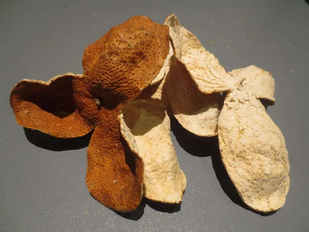 一两陈皮一两金！这样用陈皮，养生功效好！（一两陈皮一两金的由来）
