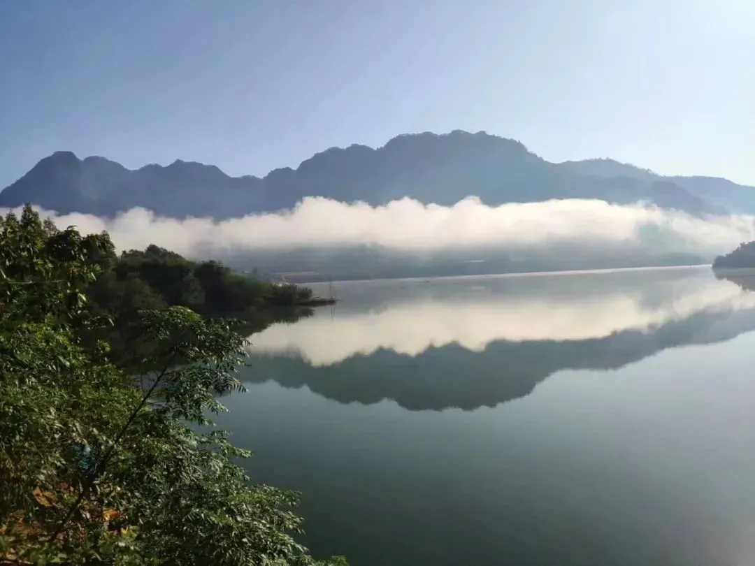 太疯狂了（致橡树朗诵配乐纯音乐）诗朗诵伴奏音乐大全 第2张