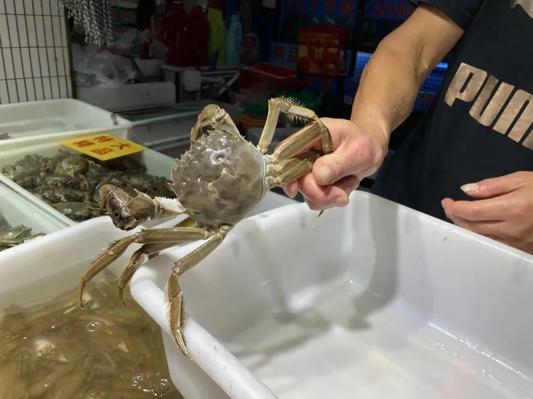 国庆假期,吃螃蟹!今年阳澄湖大闸蟹价格如何?为啥有人说都是“假货”?
