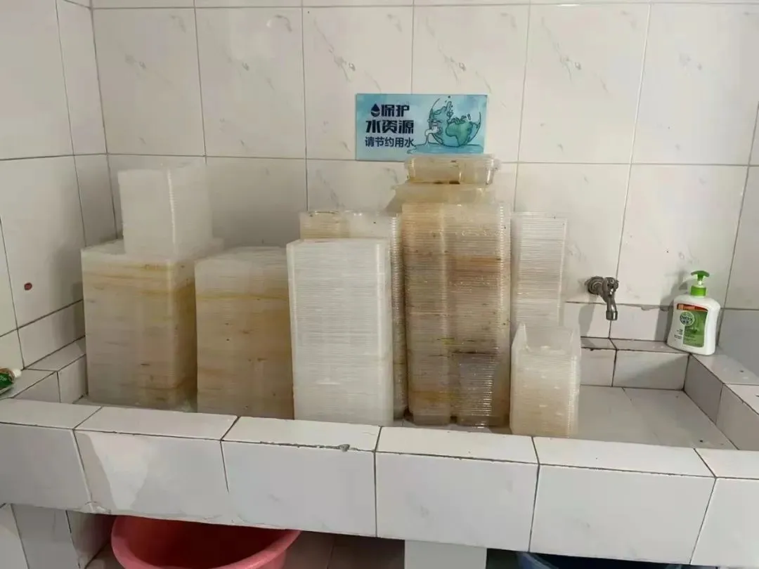这样的双向奔赴太温暖！感谢后勤叔叔阿姨的辛勤付出，上海大学生送上书信和亲手栽种的鲜花-感谢后勤工作人员为我们提供