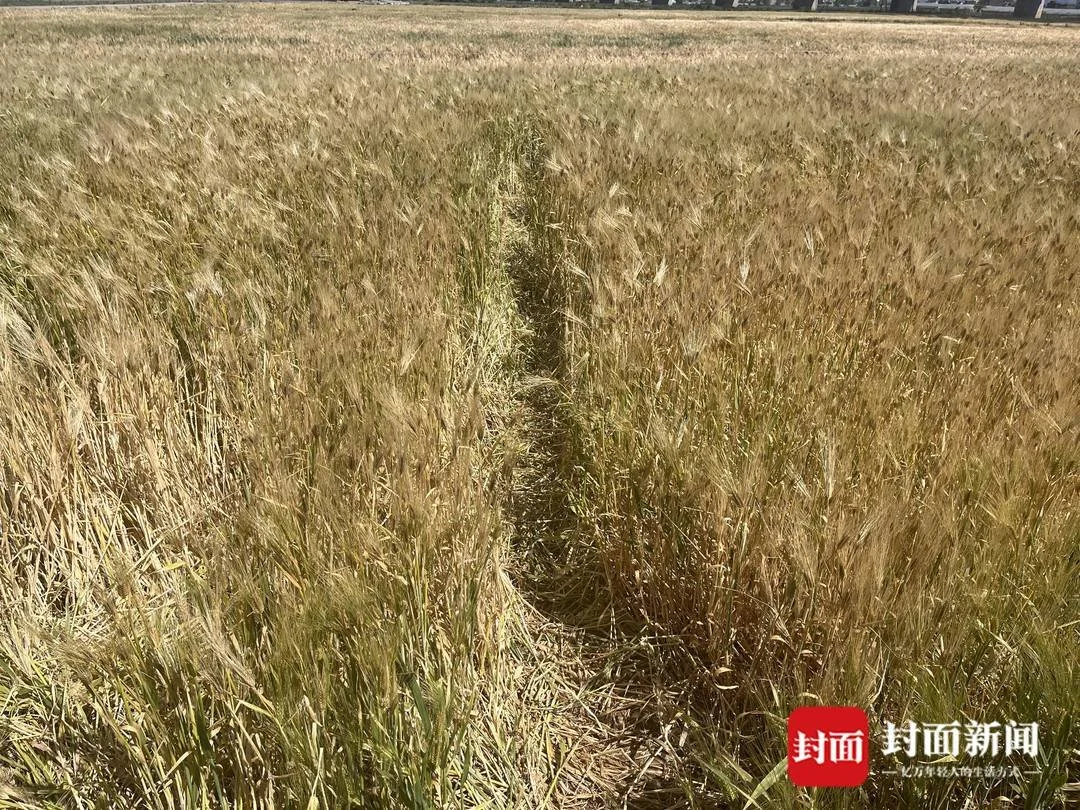 “去有风的地方”也别忘“脚下留情”(有你的地方就有风景800字作文初中)