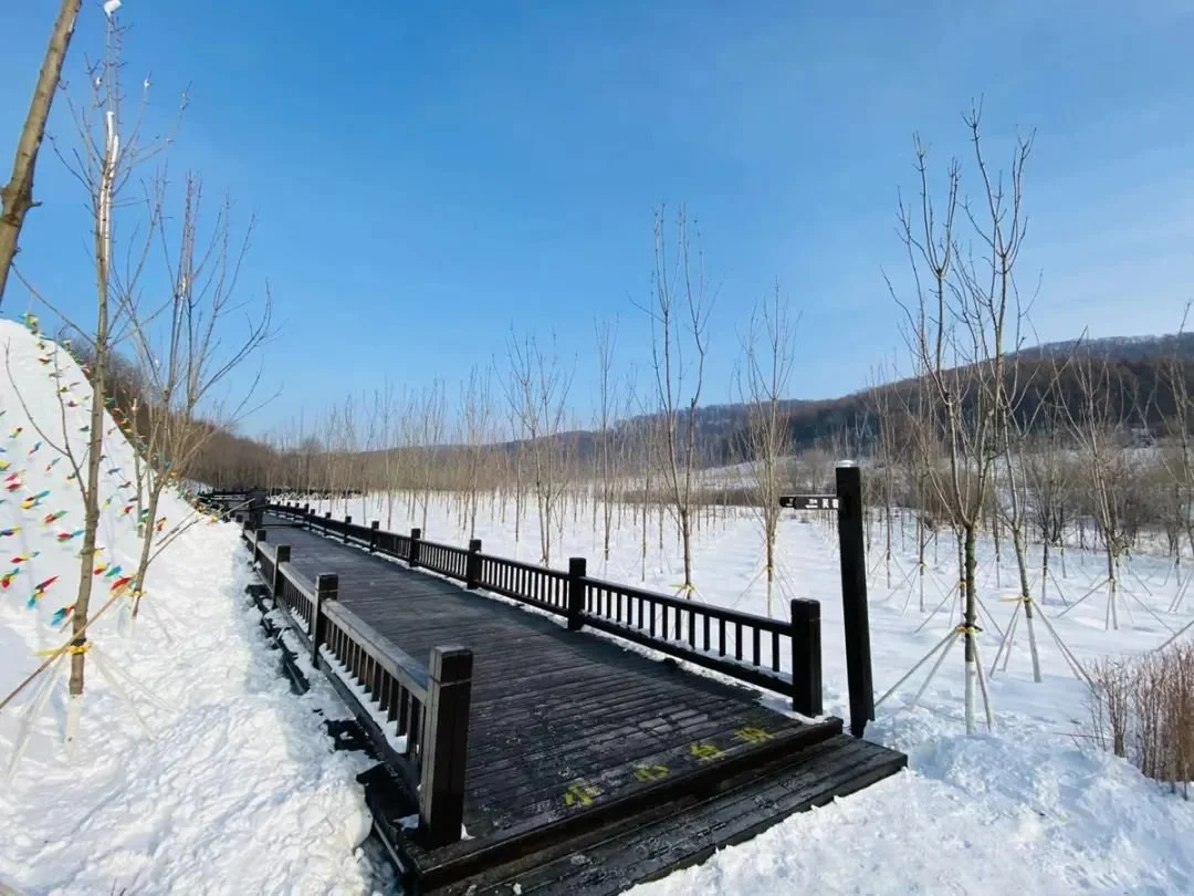 【游冰戏雪嗨辽源】东辽雪乡好风光　游客组团来观光-辽源哪有玩雪的地方