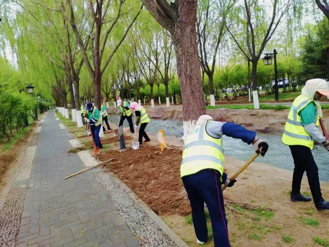 金川区扩增“绿色版图” 市民享受当“夏”清凉(金川规划)