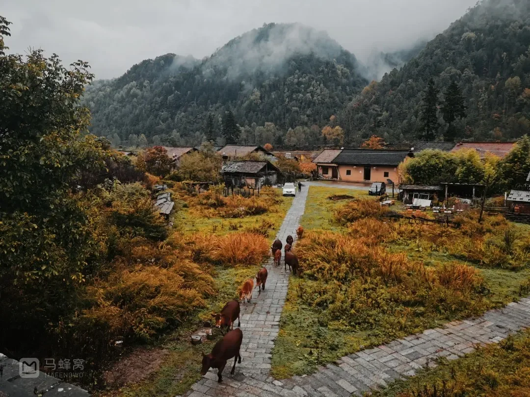 来自马蜂窝用户@小蛇爱旅行