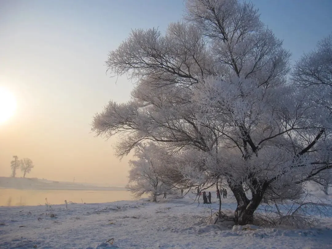 图片[62]-去一次就上瘾的雪国！极光圣诞全都有！-华闻时空