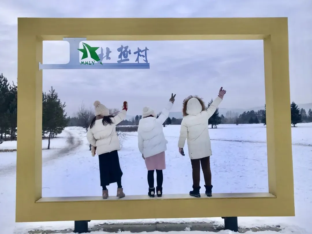 图片[32]-去一次就上瘾的雪国！极光圣诞全都有！-华闻时空