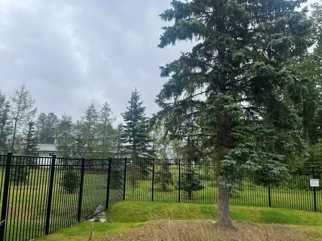 ����դ����ң�������Ŷ��-����ɭ���Ͼ��»��أ�����ٰ�ص㣩��ͼԴ������