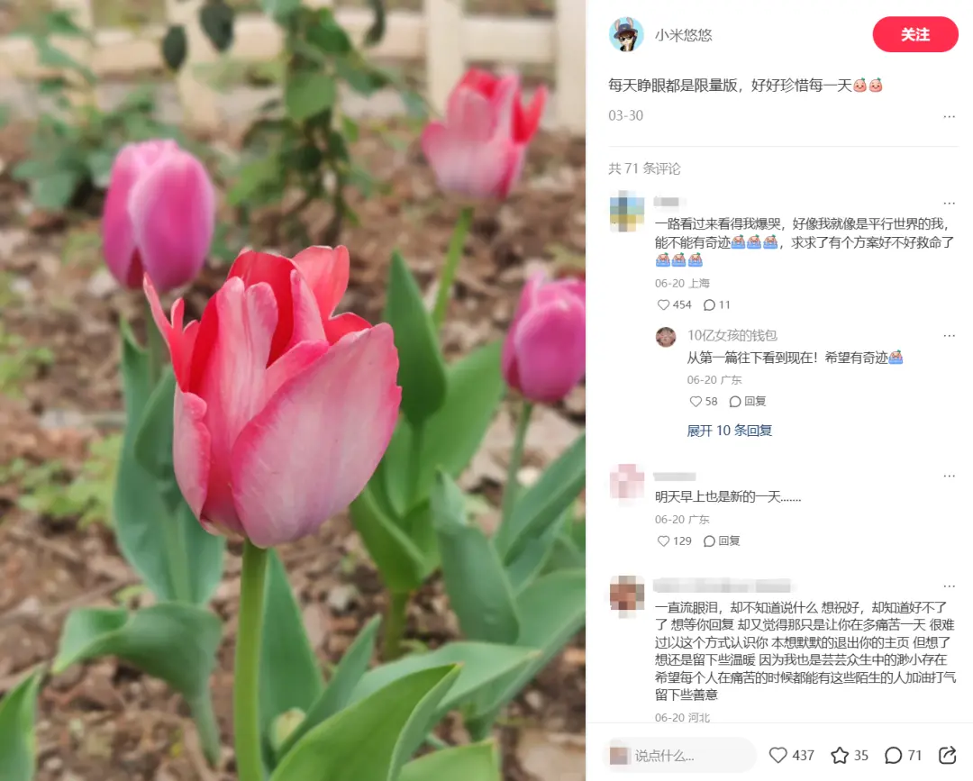 一个普通人，为何如此潦草过完一生？_https://www.izongheng.net_快讯_第7张