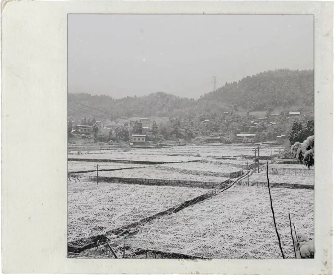 ◎ 有一年阆中大雪，大雪后的瓜蒌地