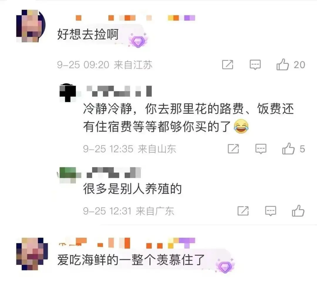 广东多地台风后现大量生蚝！专家紧急提醒_https://www.izongheng.net_快讯_第3张