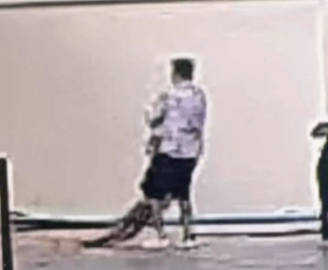 ������ĵ�һ���ӽ���ʱ�Ѵ��ڻ���״̬�ļ�ĳ�ϳ�����