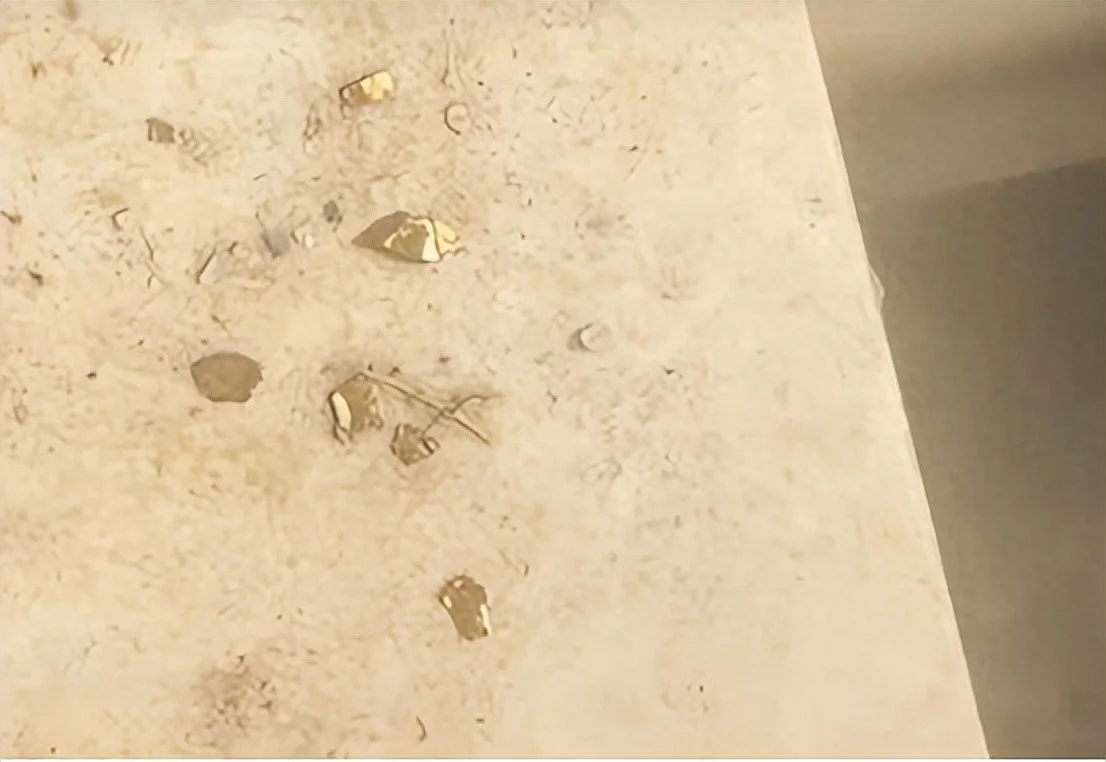 鸭肚中剖出多颗金色颗粒，初步鉴定为黄金