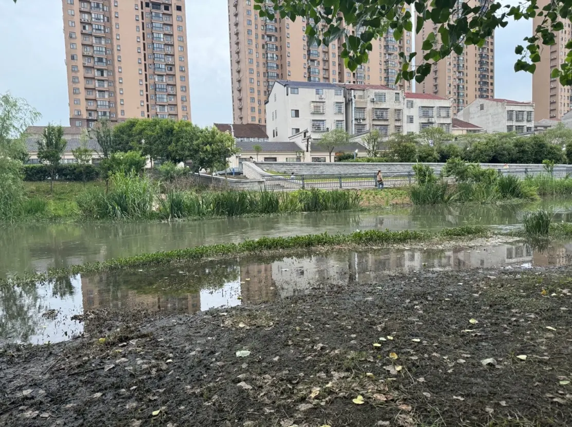 5月14日，湖北监利市城区，多位居住在周边的市民向记者反映，督察进驻前，旧林长河长期发臭，督察进驻前后上游开闸放水“洗河”，河流水质“临时”改善。本文图片除单独署名外均为 澎湃新闻记者 刁凡超 摄