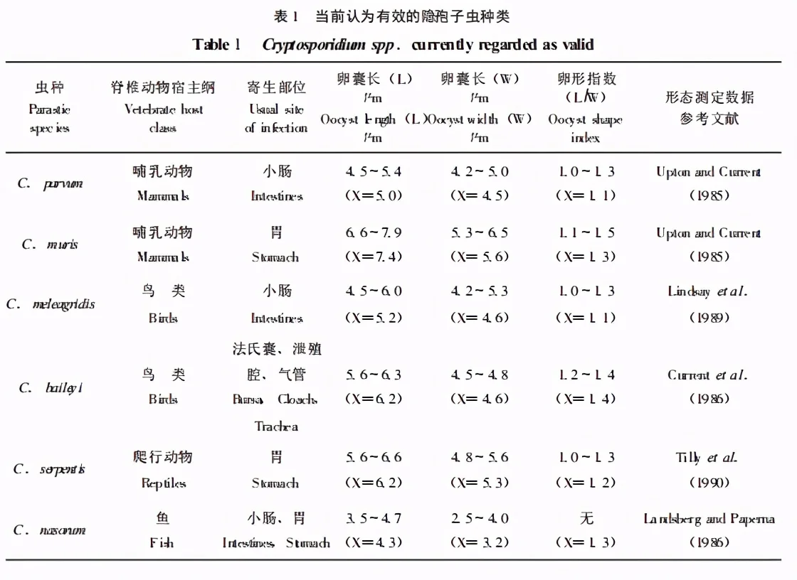 为什么五步蛇怕菜花蛇（五步蛇怕菜花蛇吗） 第8张