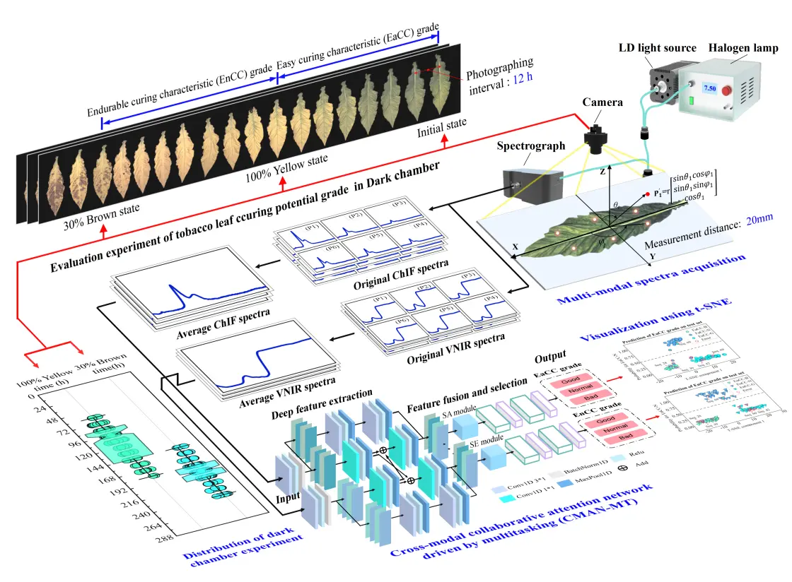 破解烘烤工艺适配难题，烟叶利用率跃升新解I中国农业科学院烟草研究所×莱森光学联合发布烟叶素质光谱分析仪_https://www.izongheng.net_快讯_第15张