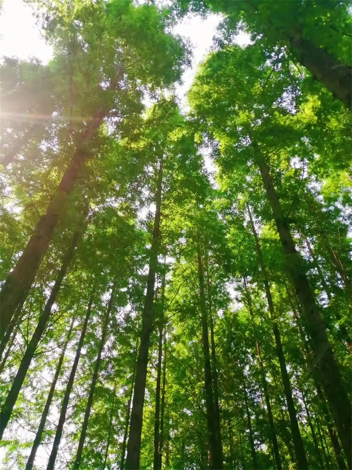 日照旅游攻略，日照必去拍照的几个景点-日照值得去的旅游景点