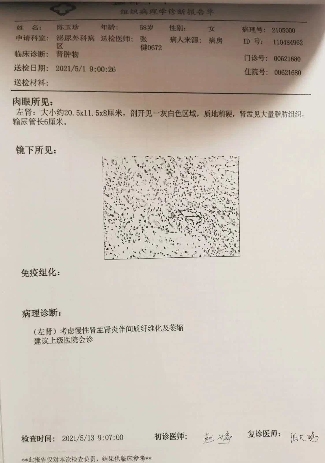 盘锦市中心医院的病理诊断报告 本文图片除标注外均为受访者提供