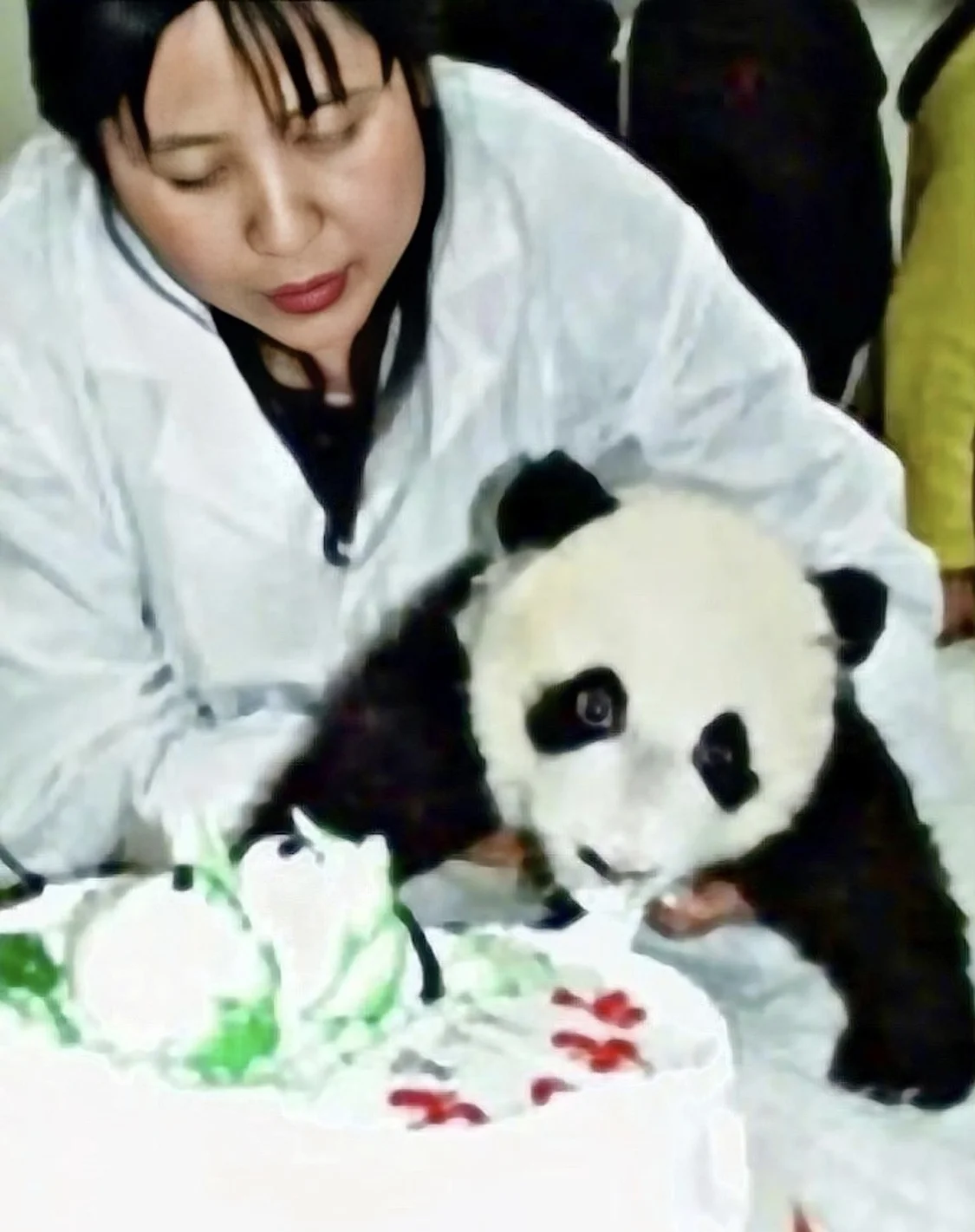 2000年11月10日，北京动物园，大熊猫“丫丫”的百日宴。