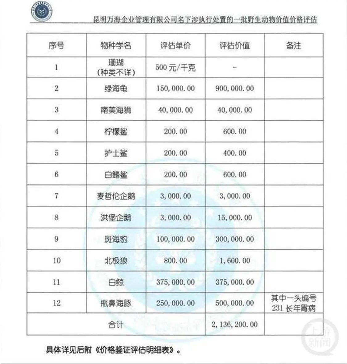 广州一公司26只海洋生物拍卖了2000多万，最值钱的是白鲸，此前昆明有一只评估价37.5万