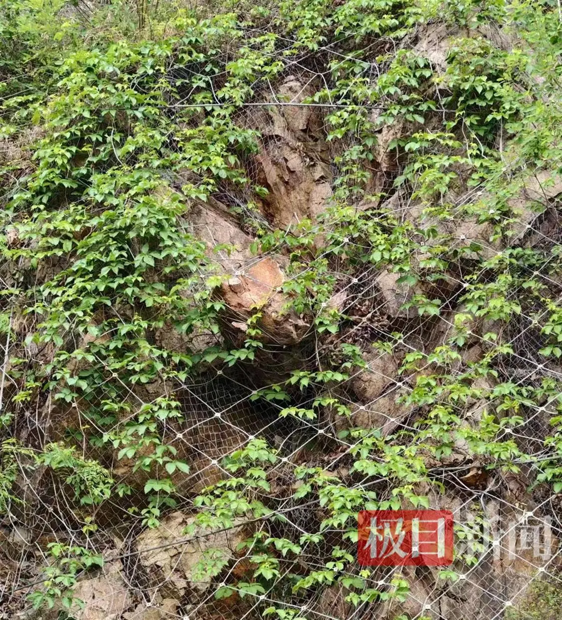 微信图片编辑_20250515183737.jpg