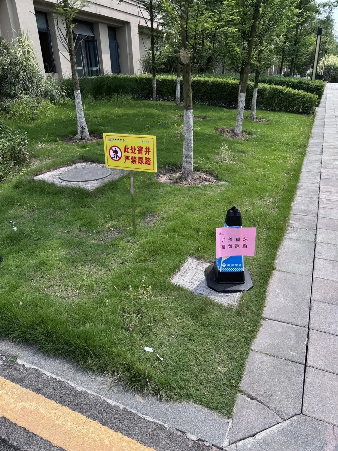 校园内多处井盖立了警示牌