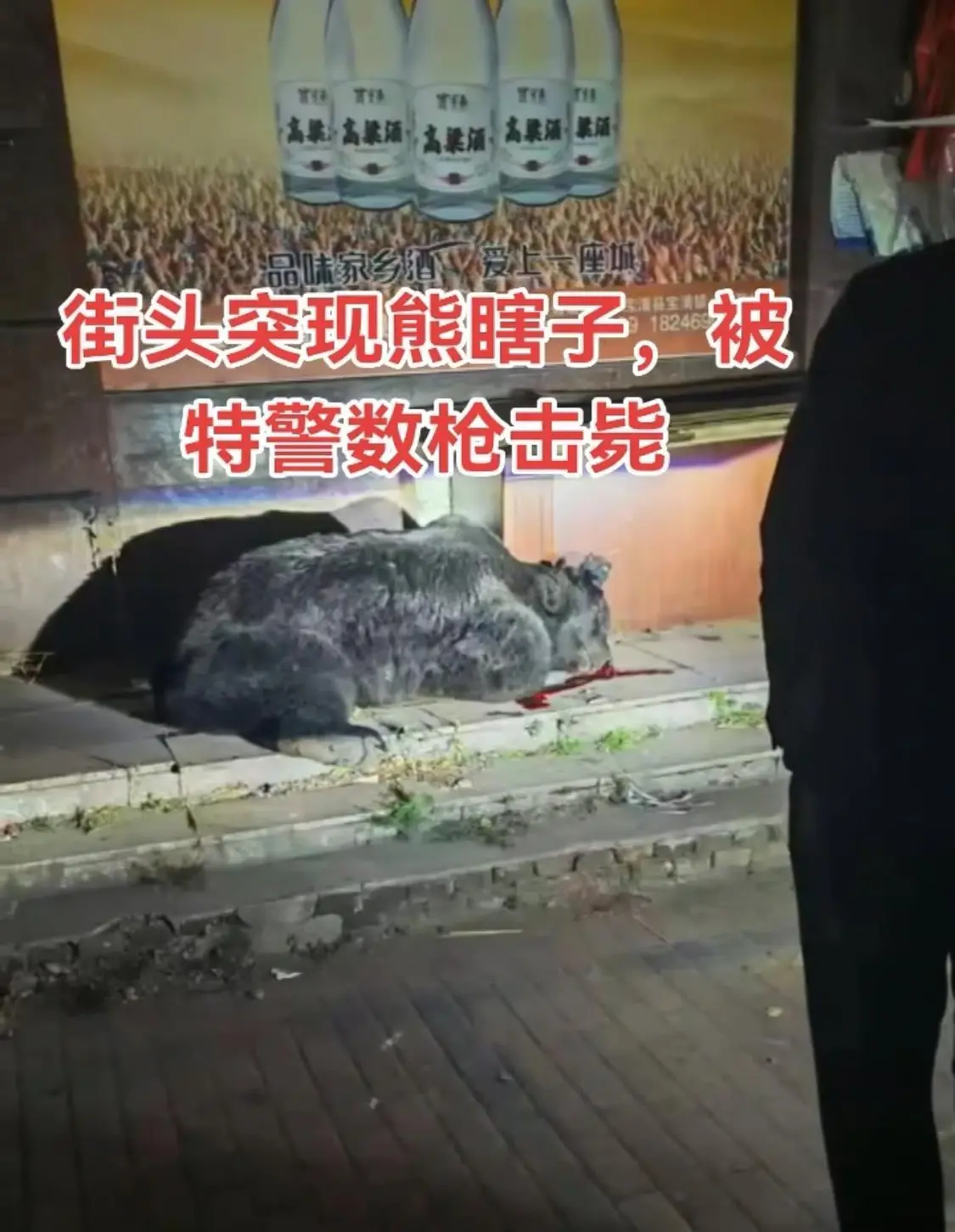 Screenshot_20251023_101400_com.huawei.himovie.loc.jpg