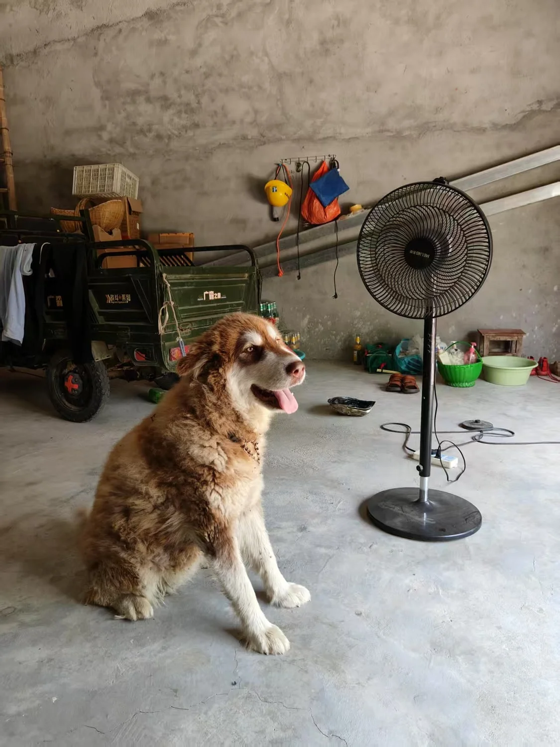 微信图片_20250618011342