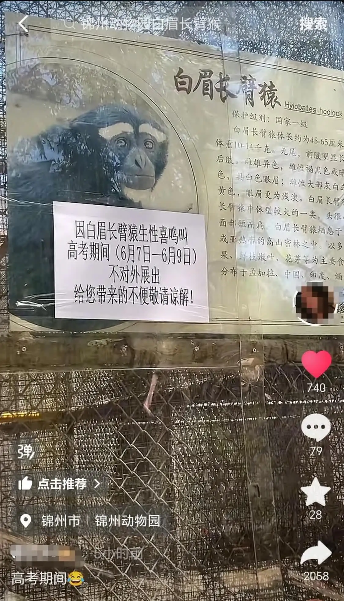 辽宁动物园白眉长臂猿猴高考期间不对外展出