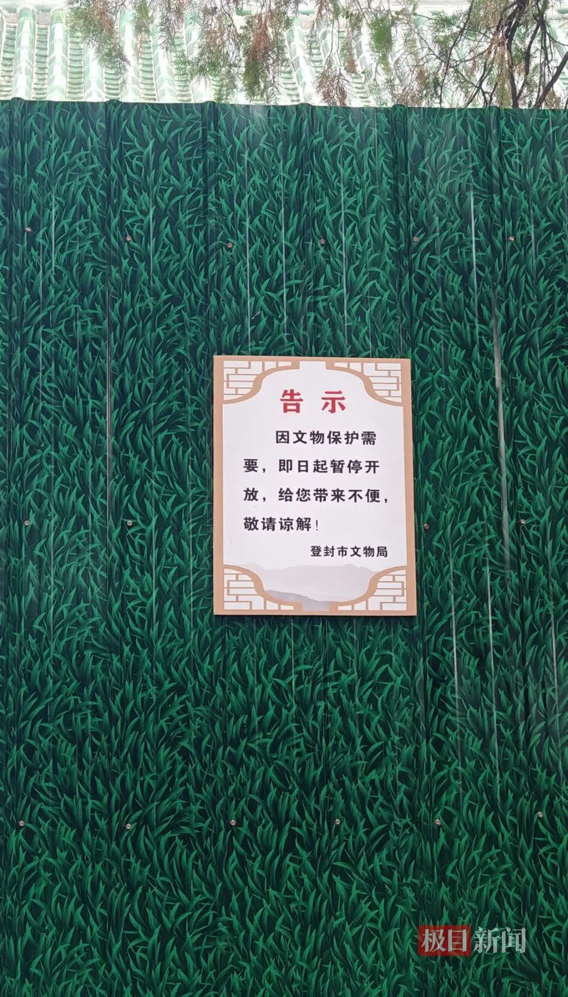 ·Ժδ