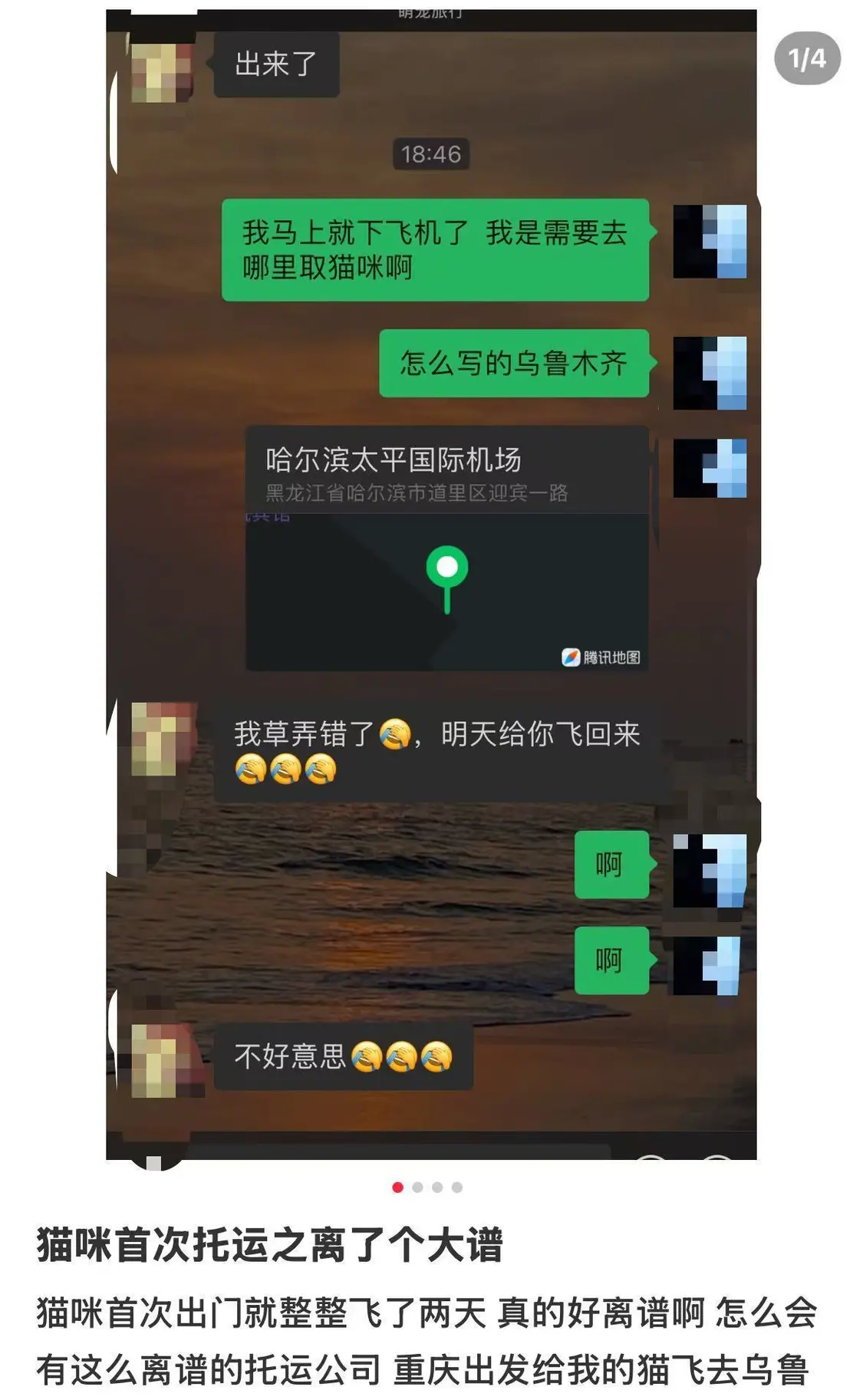 女子从重庆托运宠物至哈尔滨却被送到乌鲁木齐