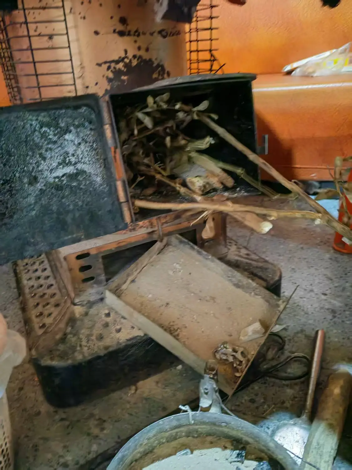 大山深处，那些靠百元养老金扛过疼痛的老人_https://www.izongheng.net_快讯_第4张