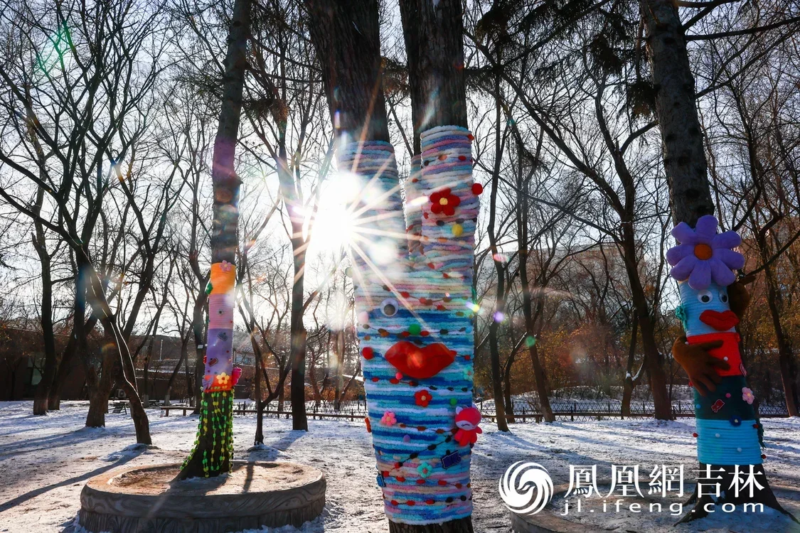 长春市动植物公园内，穿上毛衣的树木萌态尽显。凤凰网吉林 王振东/图