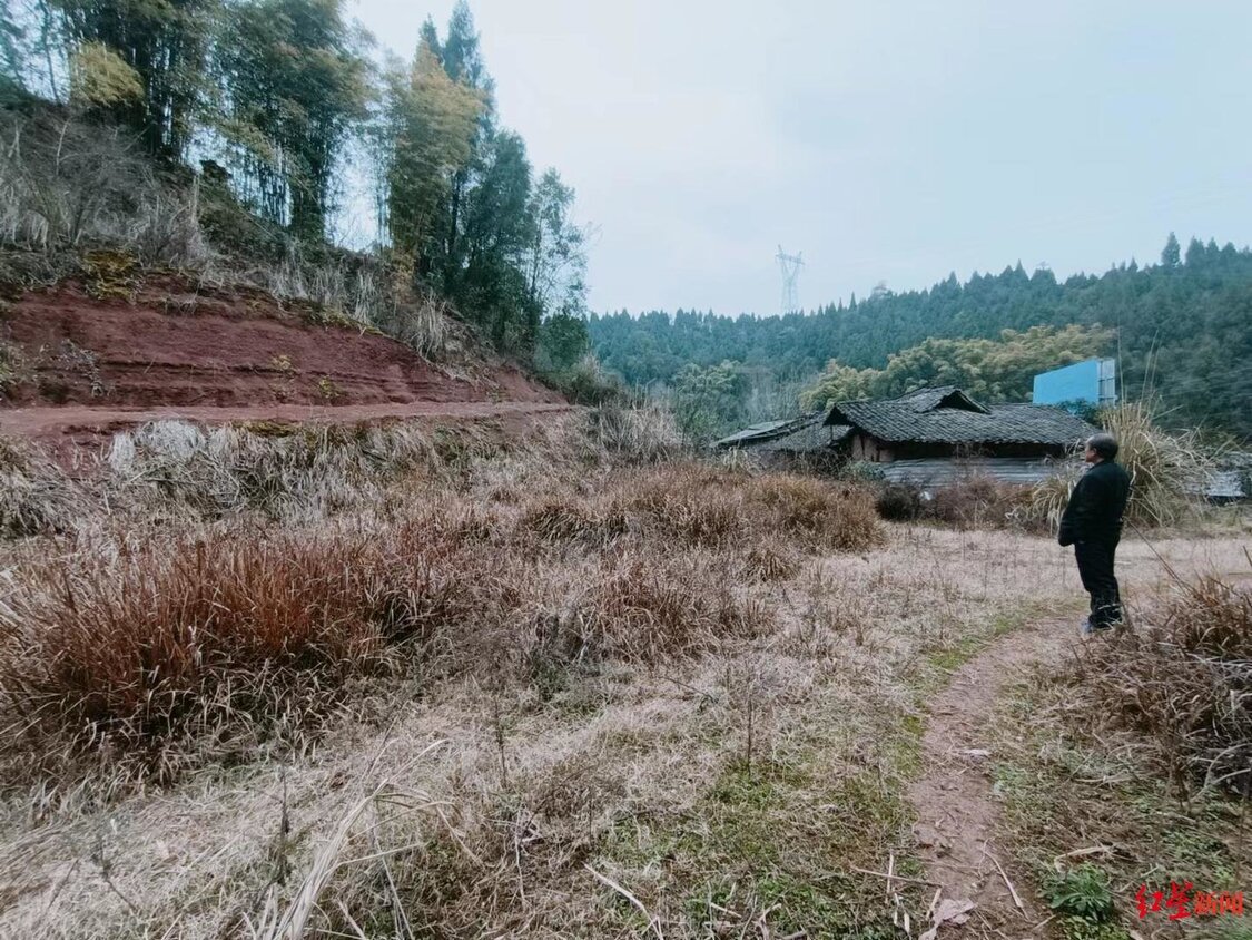 ▲唐大清原本打算建新房的地基，如今已荒草丛生