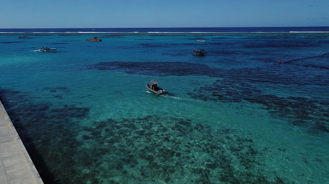 世界上最深的海沟（海底2000000000米生物） 第8张