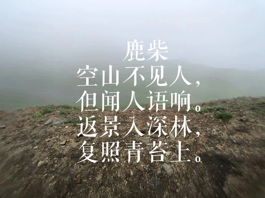 王维最美的十首诗，诗中有画，诗中有天地(王维最美的情诗)