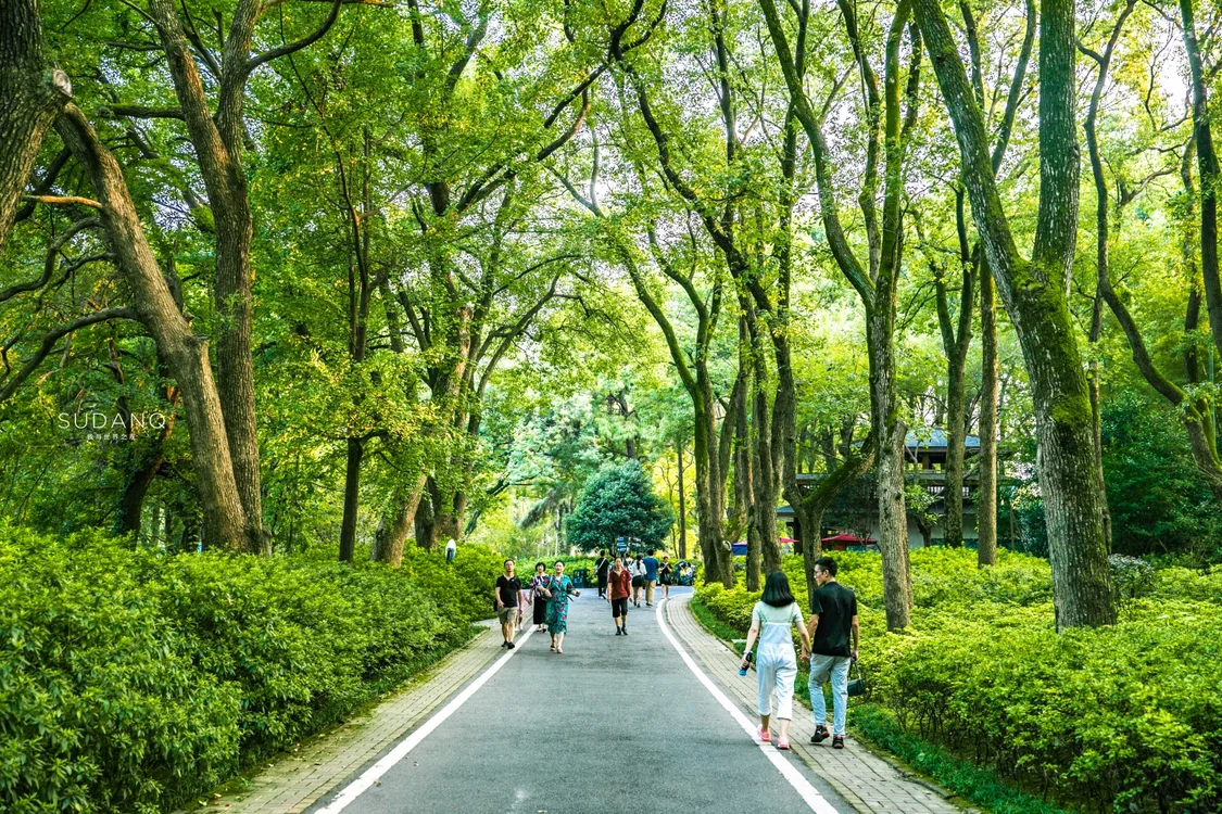 中国十大恐怖真实事件（中国十大恐怖案例有哪些电影） 第7张