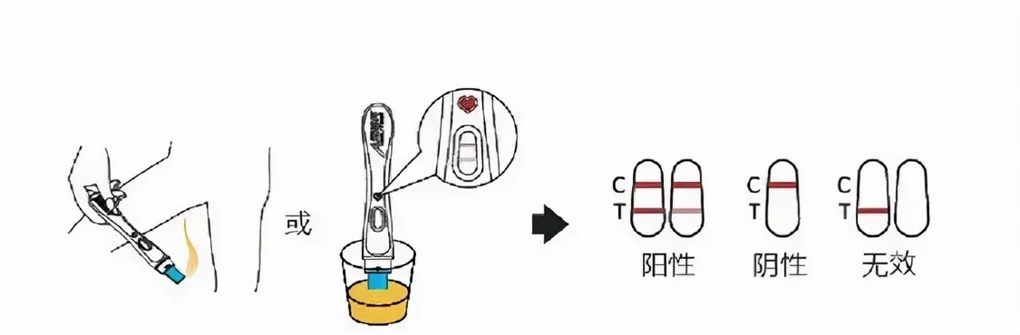 燃爆了（验孕棒假怀孕加点什么）验孕棒假怀孕的几率有多大 第3张