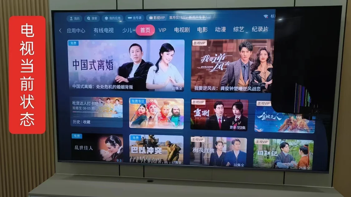 电视出现花屏，图片由王先生提供