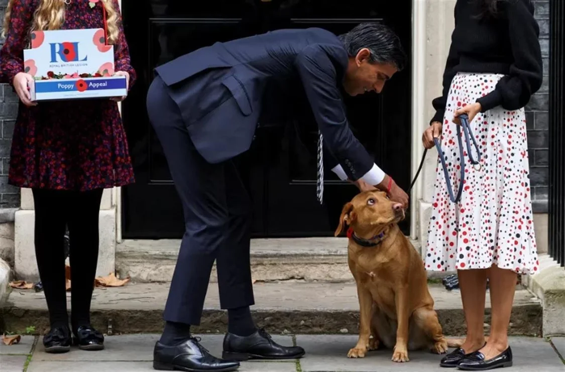 英国首相苏纳克公园遛狗不牵绳