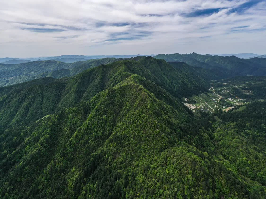 贵州梵净山：不断筑牢生态防线-贵州梵净山攻略旅游链接